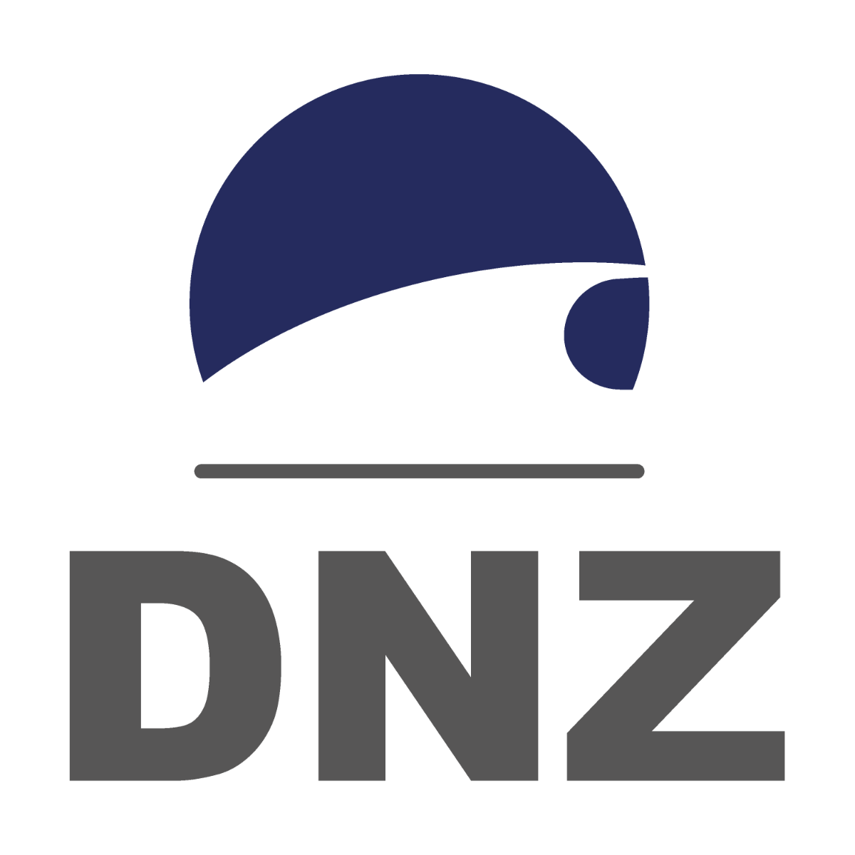 dnz logo